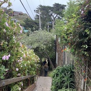 Meet your Posher, Cali